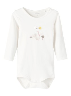 Nbfjutta body