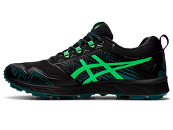 Asics Fujisetsu gtx