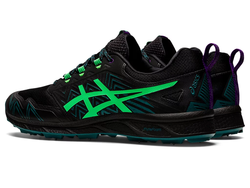 Asics Fujisetsu gtx