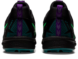 Asics Fujisetsu gtx
