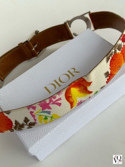 Christian Dior Belte