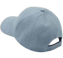 LYLE CAP