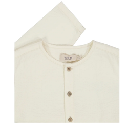 Shirt Shelby