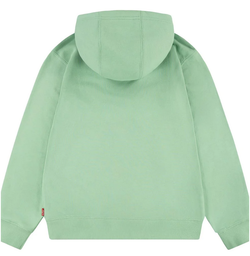 LVB LOGO PULLOVER HOODIE