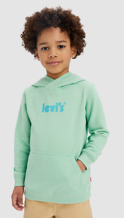 LVB LOGO PULLOVER HOODIE
