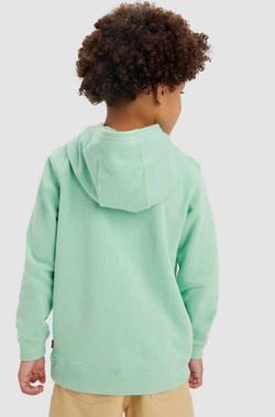LVB LOGO PULLOVER HOODIE