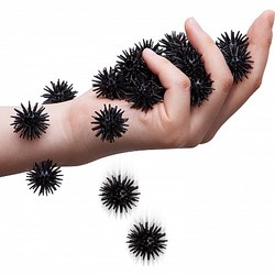 Scritters, Creepy Crawly Critters