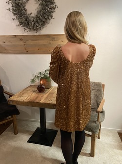 Sequins Mini Dress-PS24