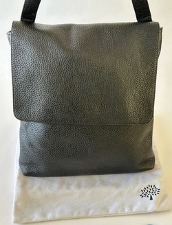 Mulberry Reporter