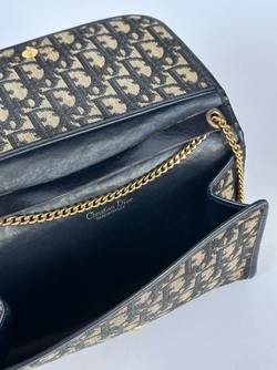 Dior Trotter Veske
