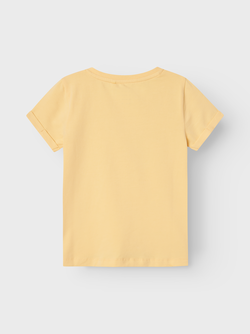 NMFVIX SS TOP