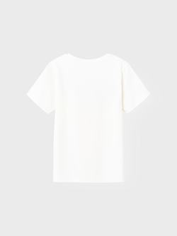 pokemon ss top