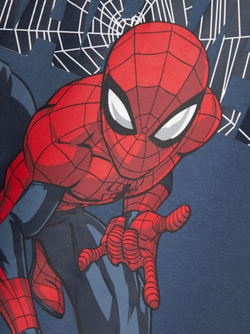 NMMASIST SPIDER NREG SWEAT BRU MAR