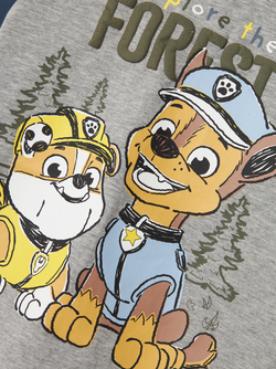 NMMSENTE PAWPATROL LS NREG TOP 