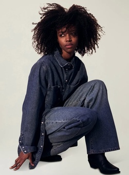 Isabel Denim Dress