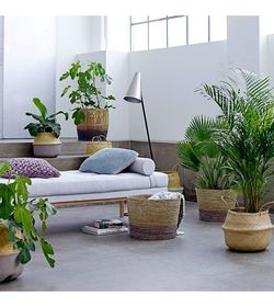 Square Daybed Grå Bomull 